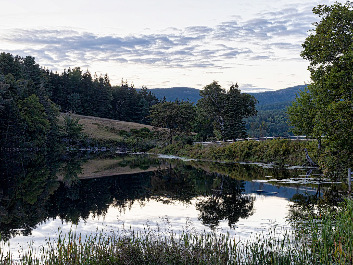 View of a lush green landscape at Otter Cove and Causeway in Acadia National Park, Maine.