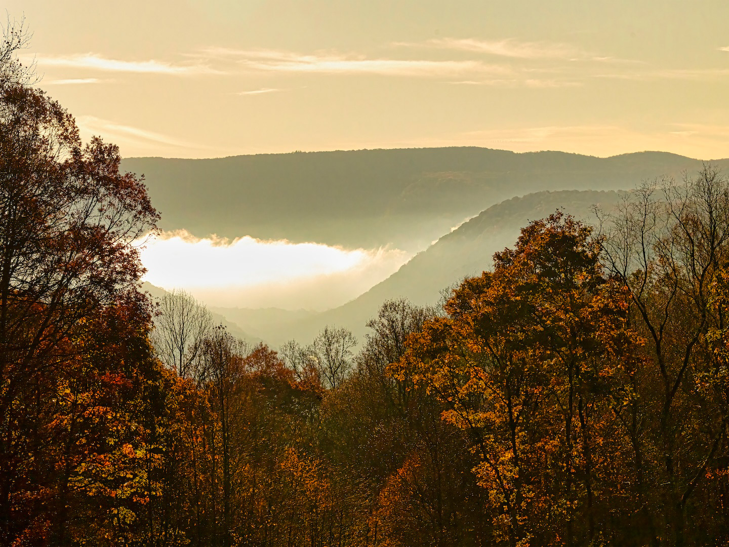 Scenic mountain view from hillside, showcasing majestic peaks and lush Fall colors.