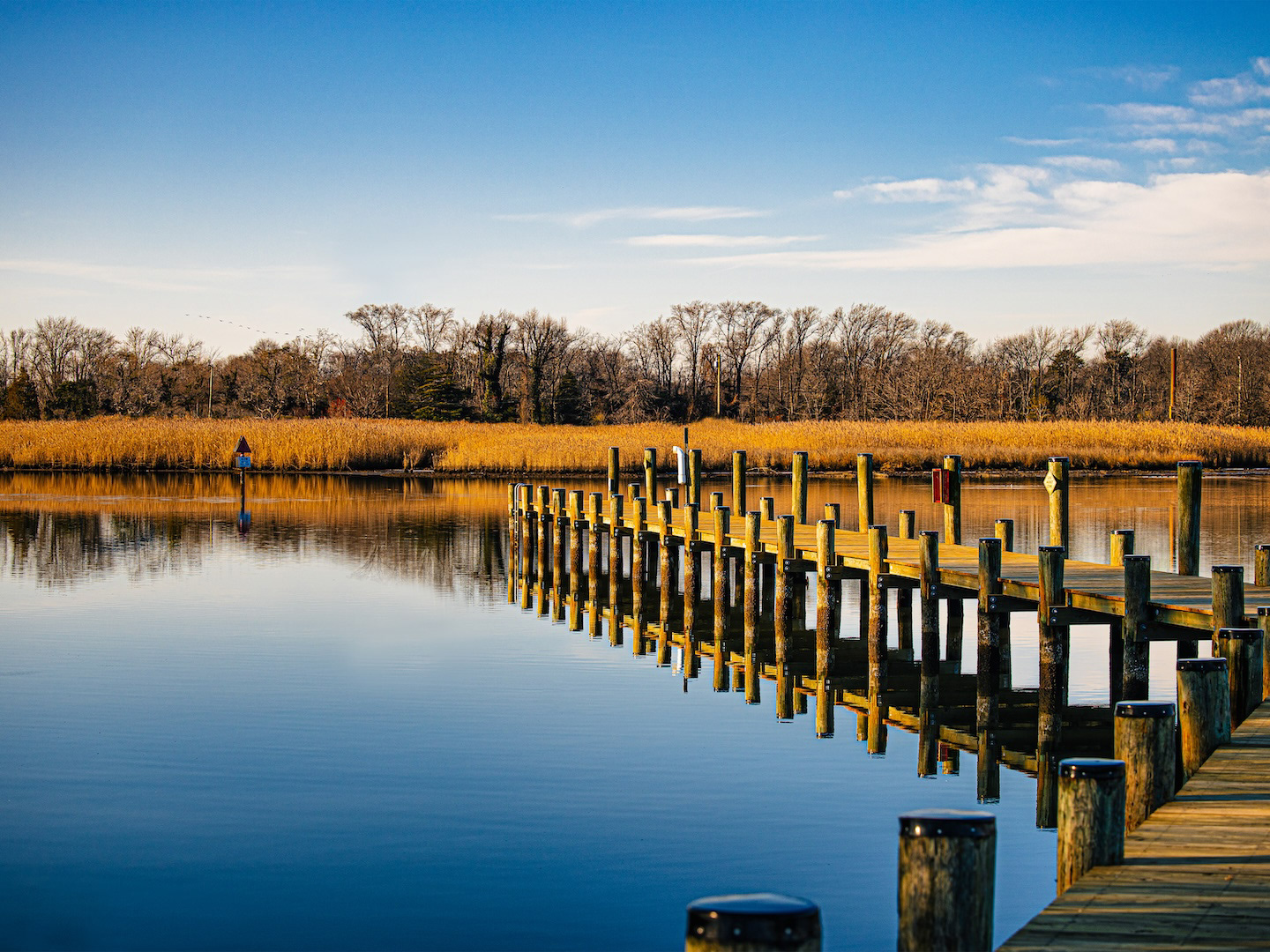Tranquil scene of peaceful dock.