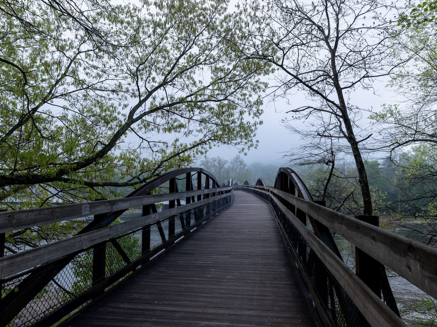 Rustic foot bridge spanning peaceful river amidst dense and foggy woodland scenery.