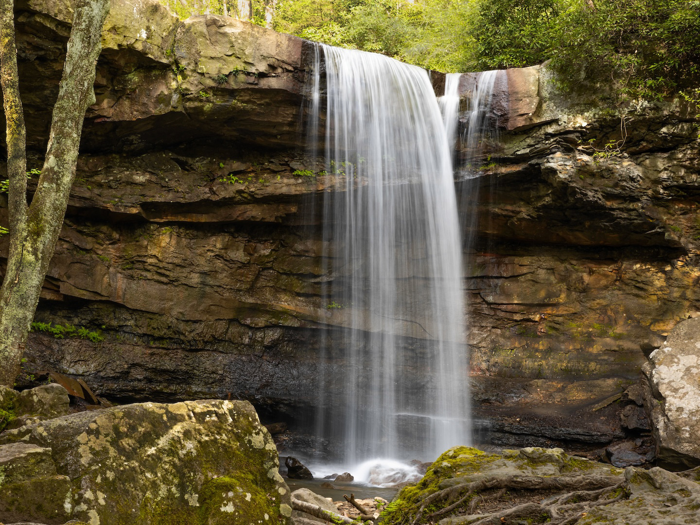 Scenic waterfall surrounded by trees in a peaceful forest.