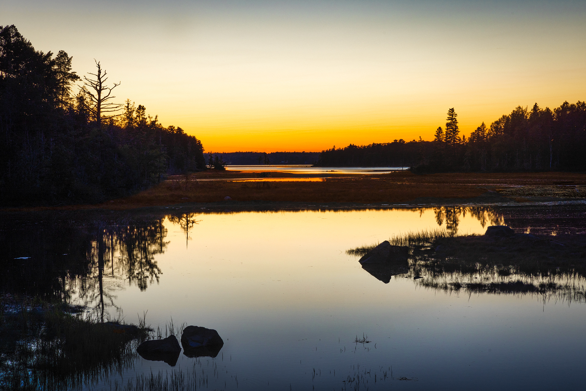 A beautiful sunset at Manset, Maine, featuring the silhouette of towering trees against the colorful sky, with clear water in the foreground.