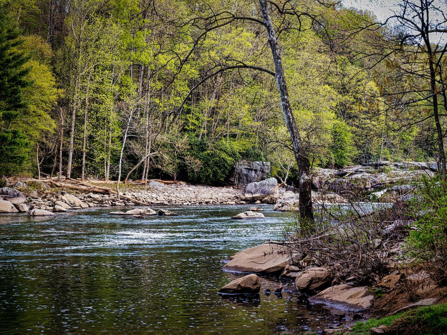 The Youghiogheny River winds its way through lush foliage in Ohiopyle, Pennsylvania.