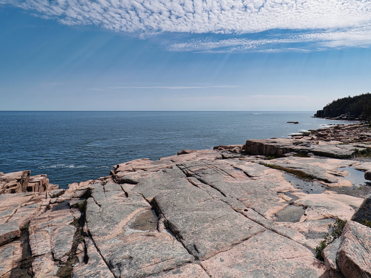 A view of the rugged, rocky granite shoreline of Acadia National Park, Maine, showing formations meeting the ocean, with evergreen trees lining the coast.