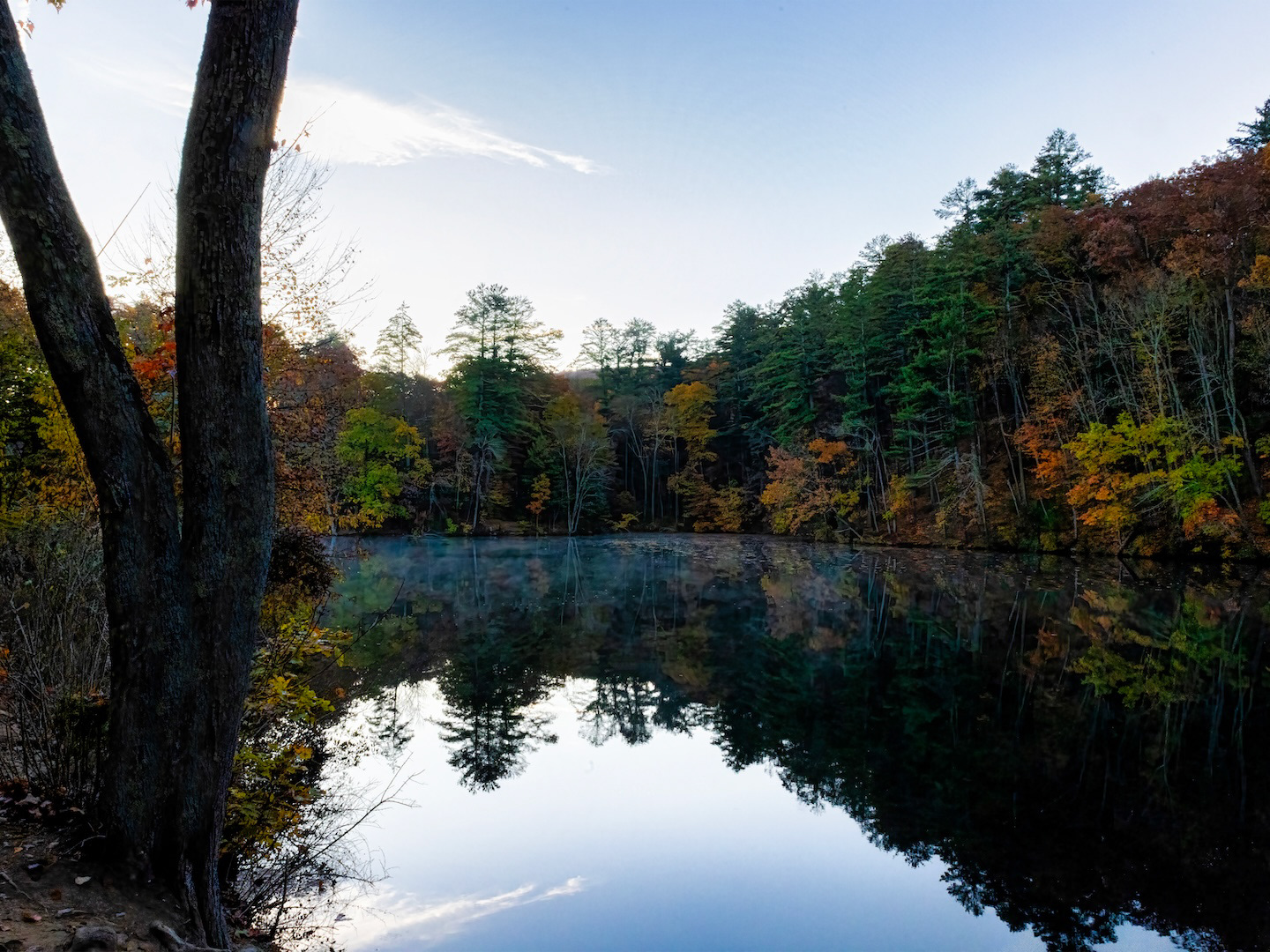 A tranquil lake with fall foliage and trees.