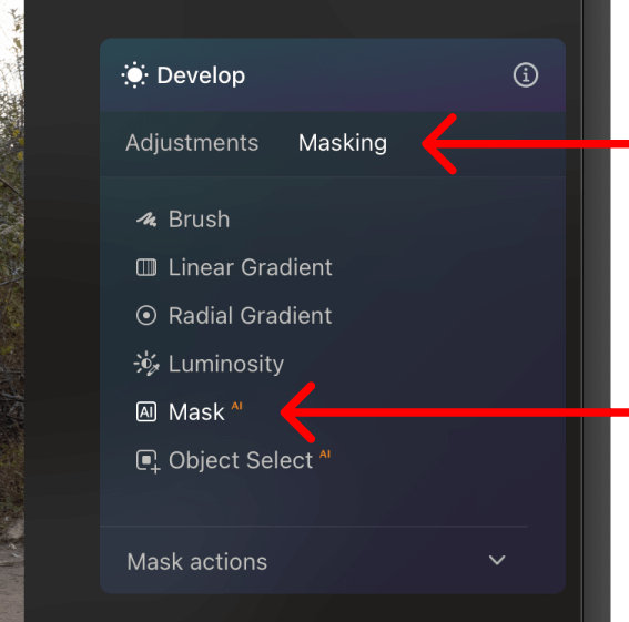 Screengrab of the Luminar Neo interface with the Masking and Mask AI options highlighted.
