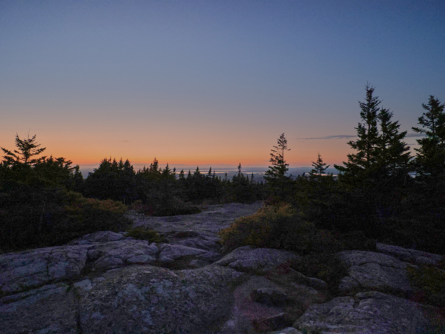 A picturesque, receding sunset viewed through pine trees from the top of Cadillac Mountain in Acadia National Park, Maine, casting a warm glow on the landscape.