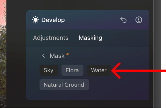 Screengrab of the Luminar Neo interface with the active Masking of Sky and Water highlighted.