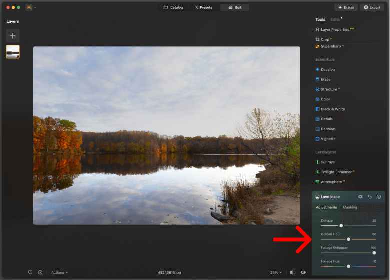 Screengrab of the Luminar Neo interface with the Dehaze and Foliage Hue sliders active within the Landscape panel.