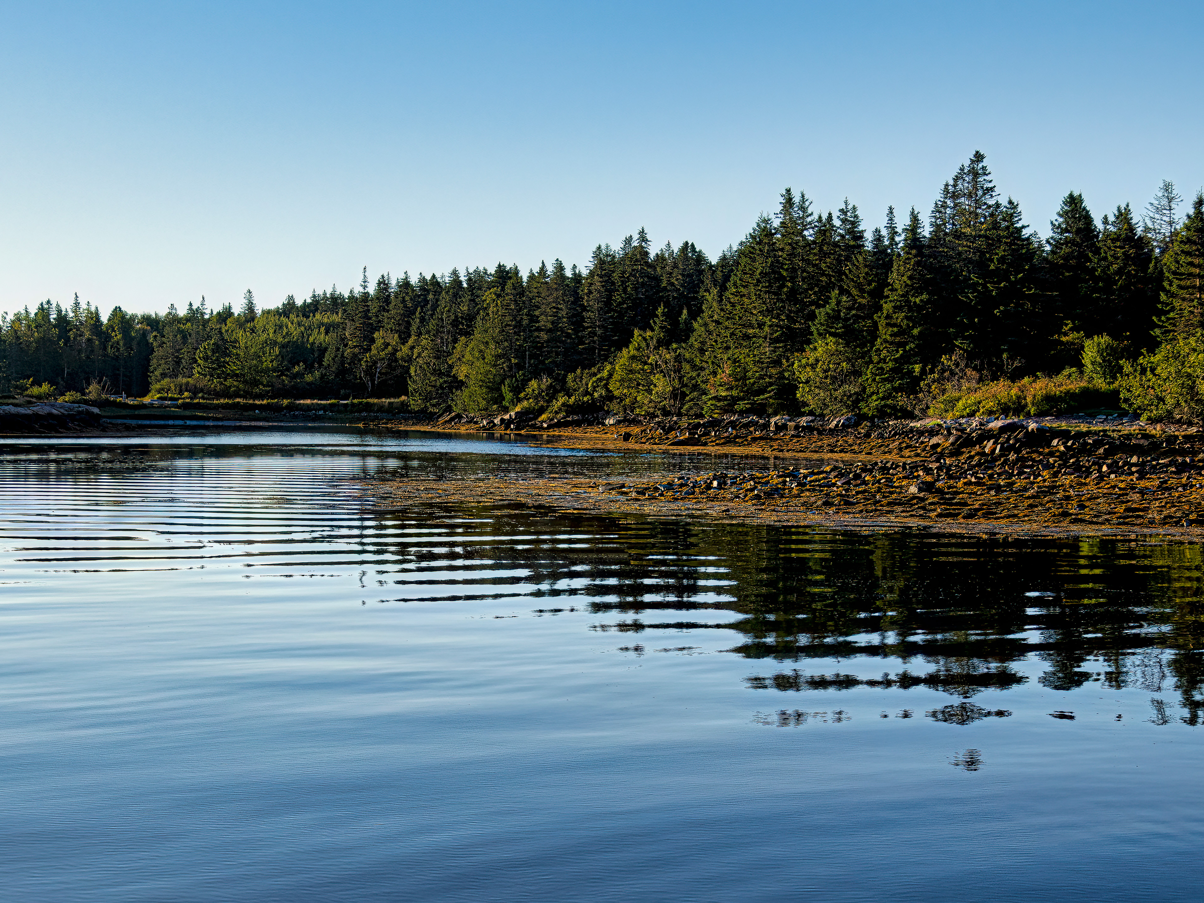 View of Frazer Point in Acadia National Park, Maine, showcasing its coastal scenery and natural environment.