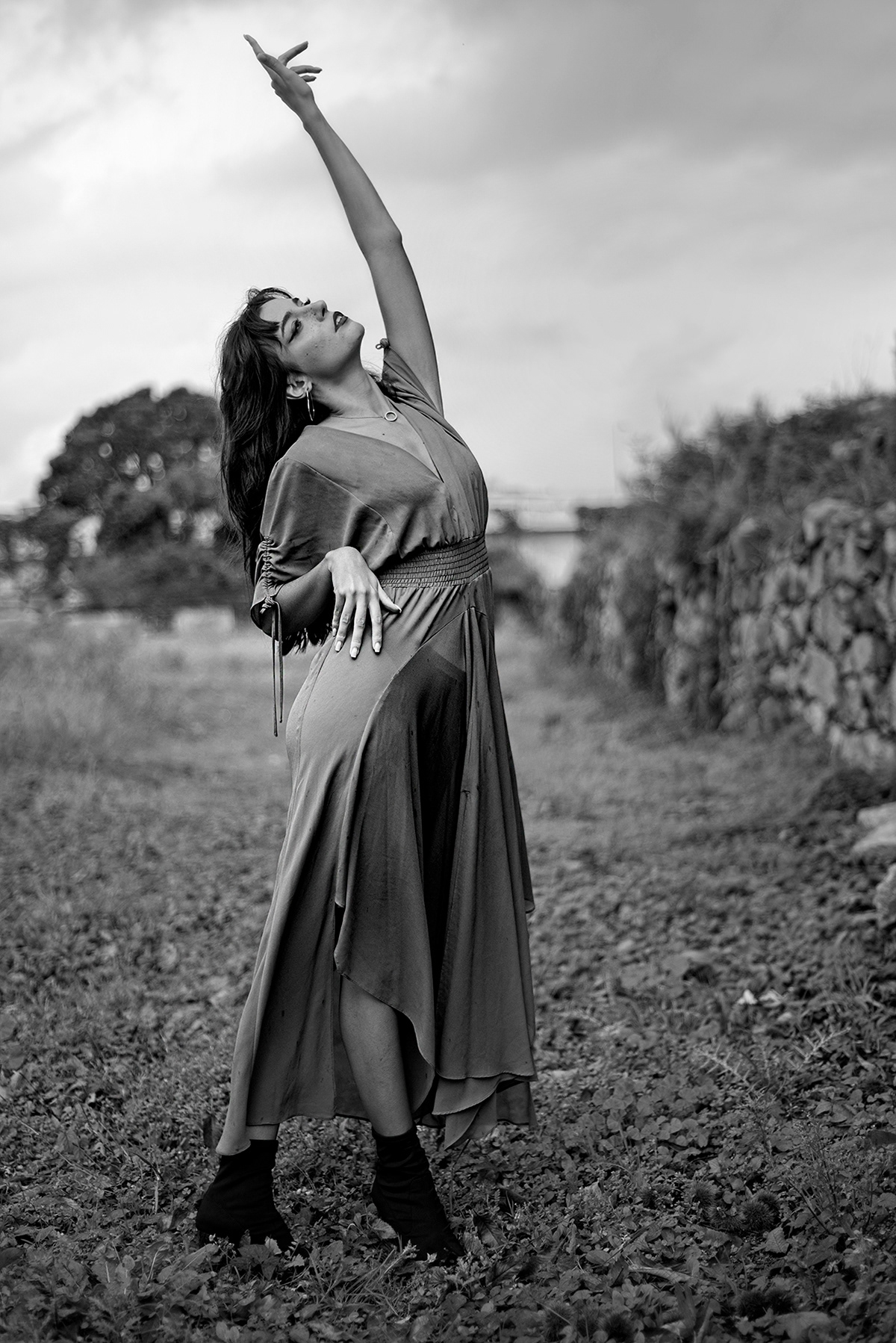 Copyright - Pedro Monteiro