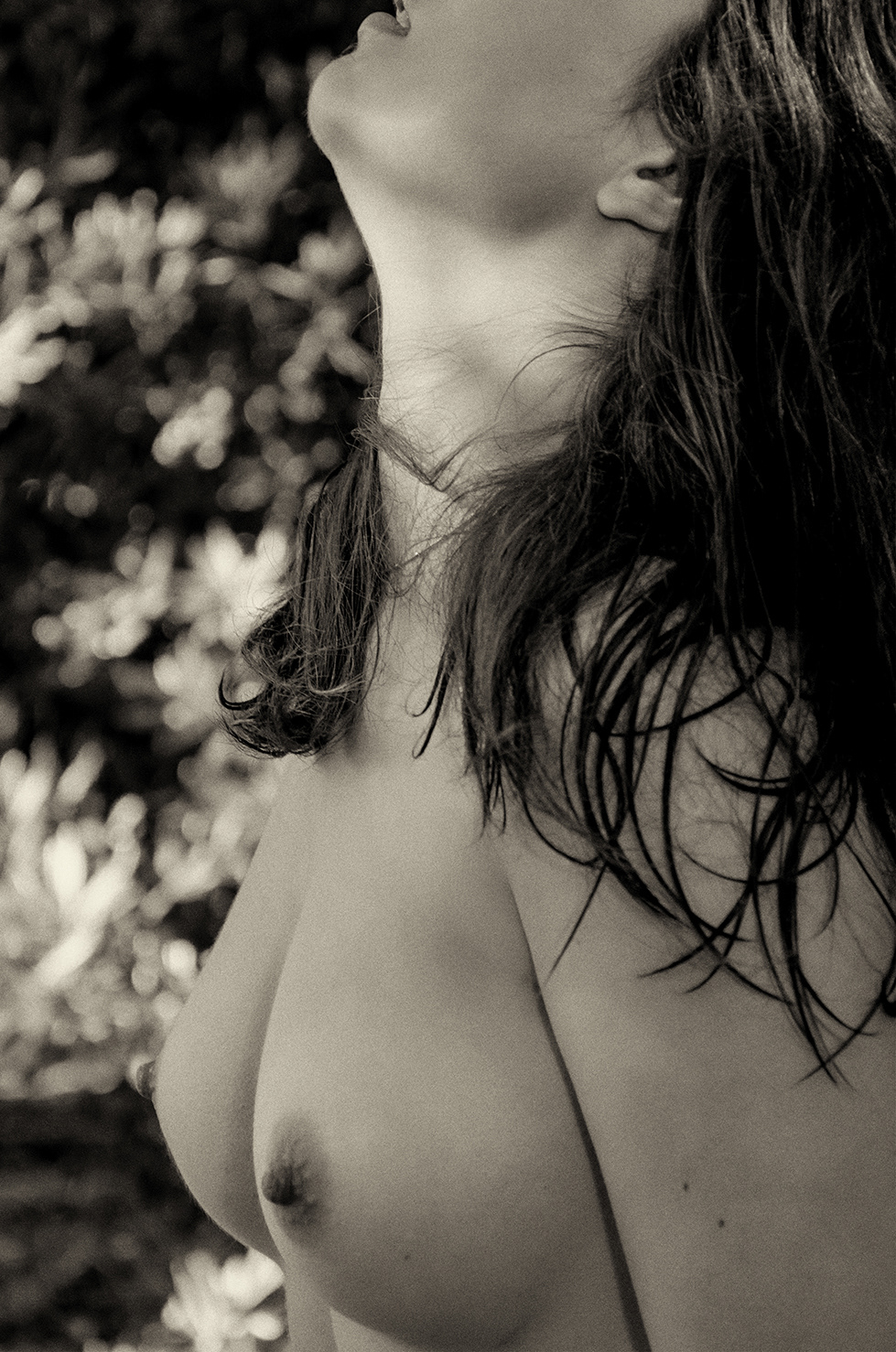 Copyright - Pedro Monteiro