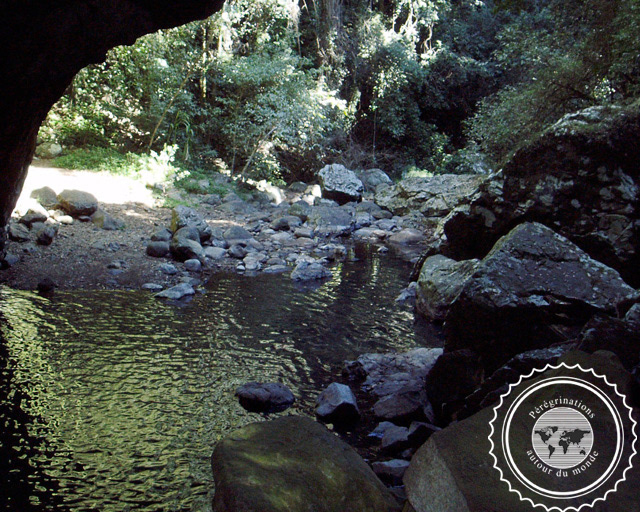 Lamington National park, Australie