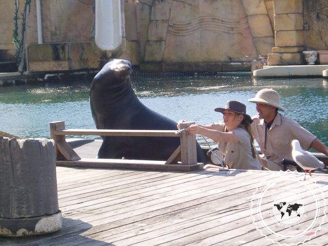 Sea World, Australie