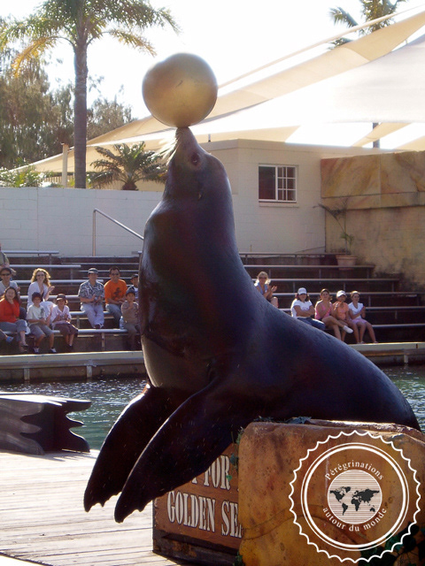 Sea World, Australie