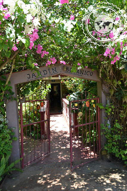 Jardin botanique de Vinales, Cuba