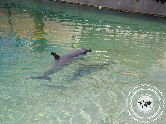 Sea World, Australie