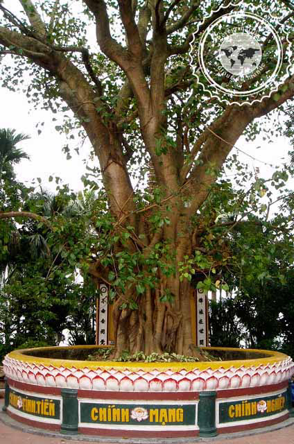 Pagode Tran Quoc, Hanoi, Vietnam