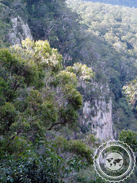 Lamington National park, Australie