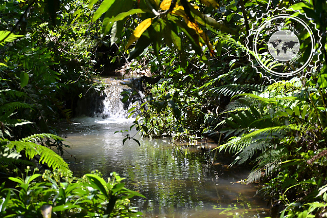 Randonnée dans la vallée de Vinales, Cuba