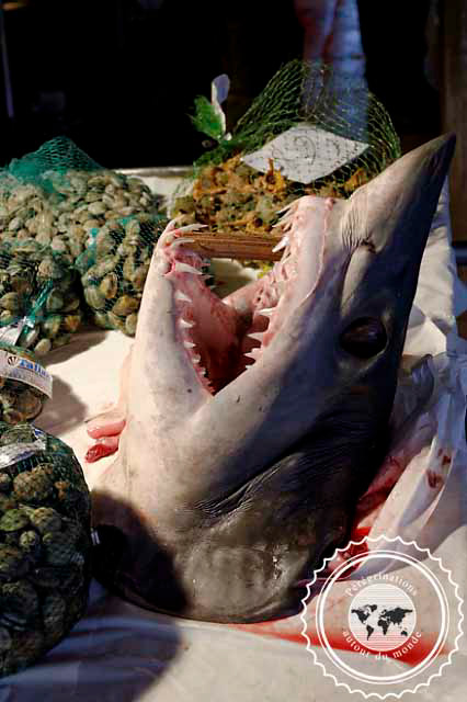 Venise, Marché aux poissons du Rialto