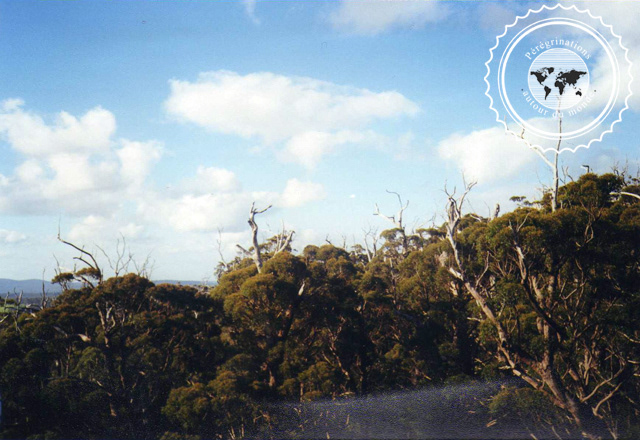Vallée des géants, Australie