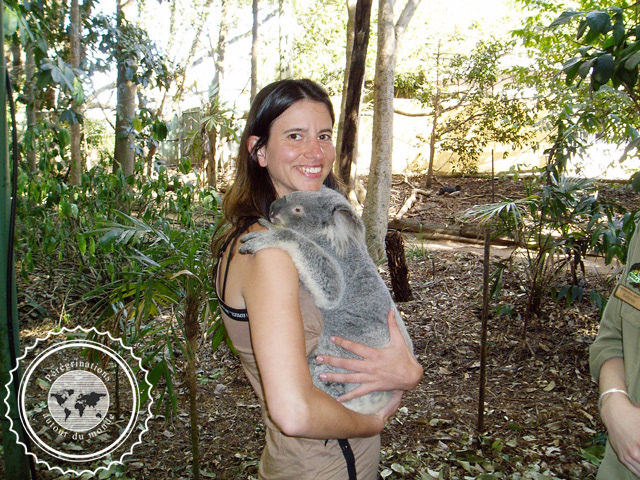 Lone Pine Sanctuary Koala, Australie