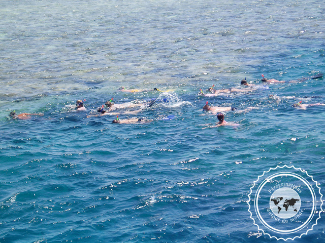 Plongée sous marine à Hurghada, Egypte