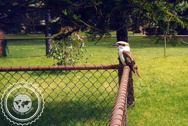 Bunburry Wild Park