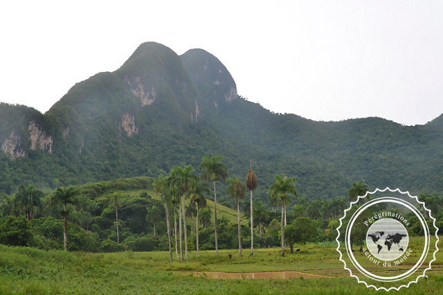 Randonnée à Mil Cumbres, Cuba