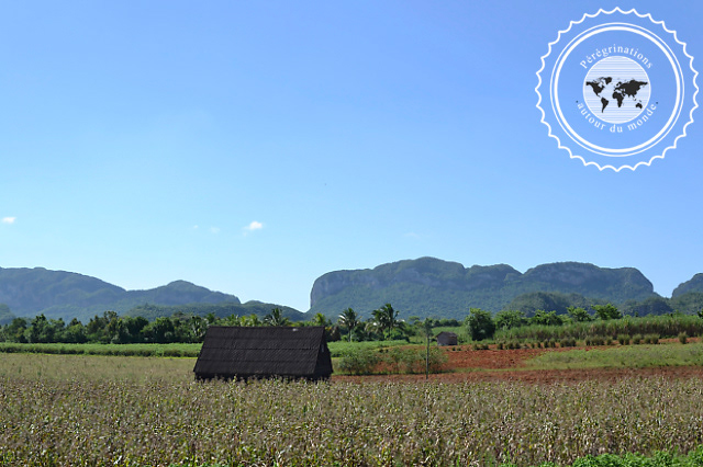 Randonnée dans la vallée de Vinales, Cuba
