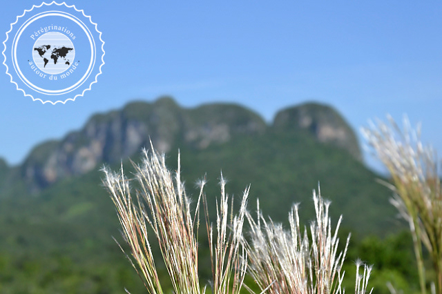 Randonnée dans la vallée de Vinales, Cuba