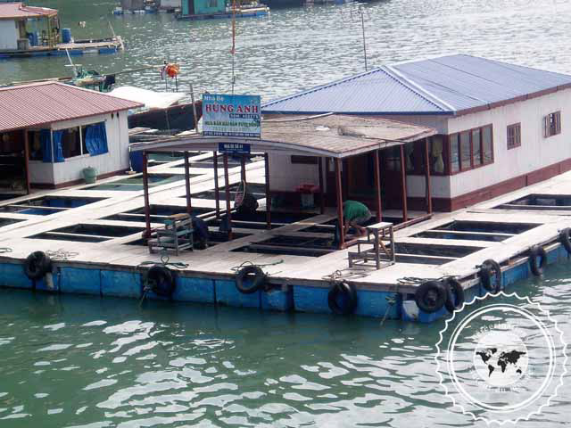 Vietnam, Baie d'Halong