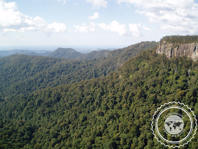 Lamington National park, Australie