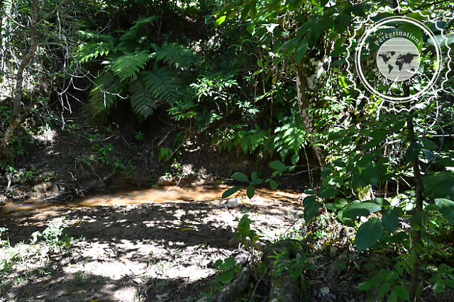 Randonnée dans la vallée de Vinales, Cuba