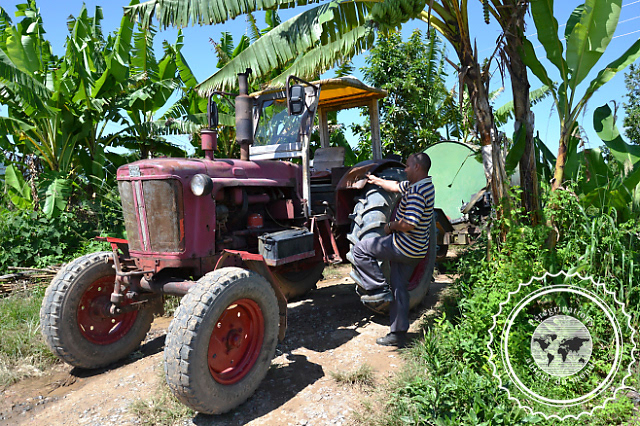 Randonnée dans la vallée de Vinales, Cuba