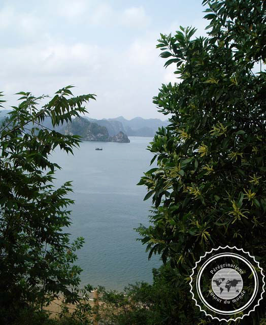Vietnam, Baie d'Halong