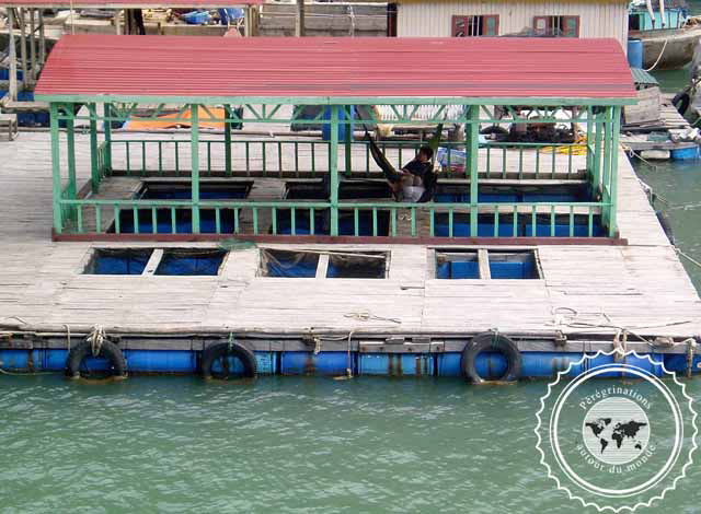 Vietnam, Baie d'Halong