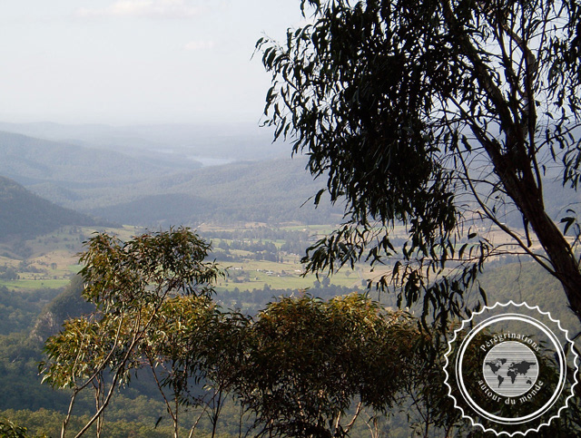 Lamington National park, Australie
