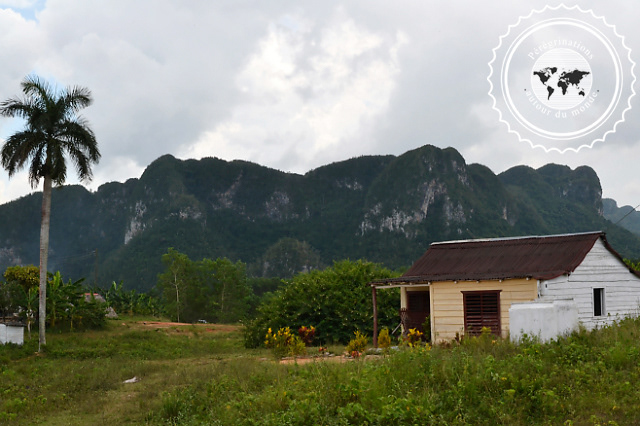 Ecoalajamato, Mil Cumbres, Cuba