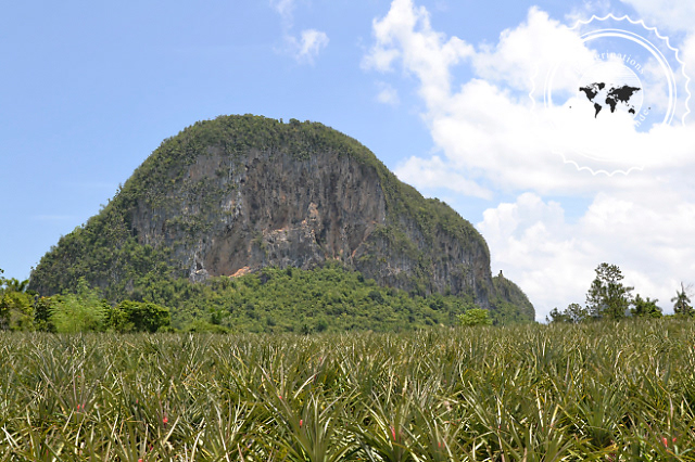 Randonnée dans la vallée de Vinales, Cuba
