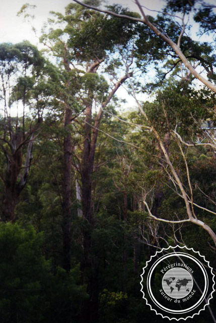 Vallée des géants, Australie