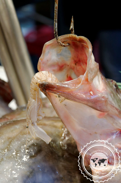 Venise, Marché aux poissons du Rialto