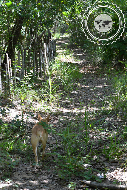 Randonnée dans la vallée de Vinales, Cuba