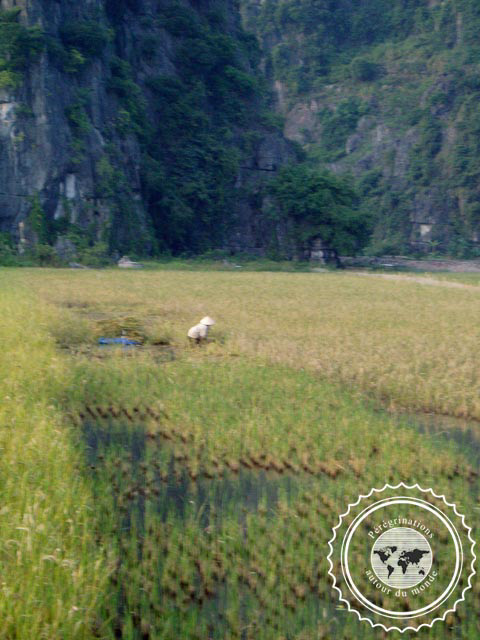 Vietman, Hoa Lu, La Baie d'Halong Terrestre