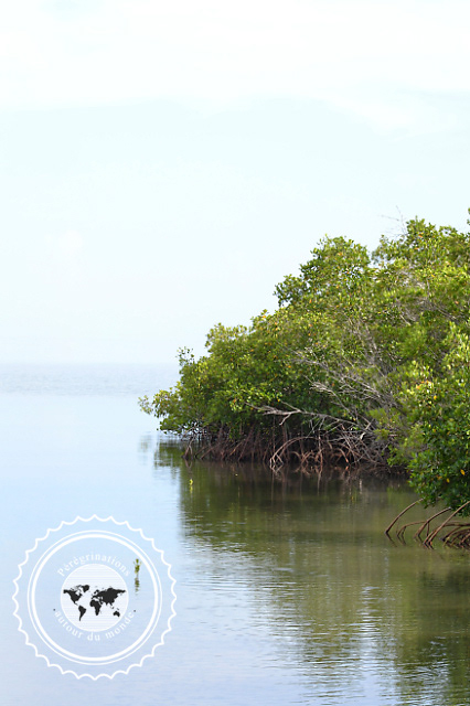 Ile de Cayo Levisa, Cuba