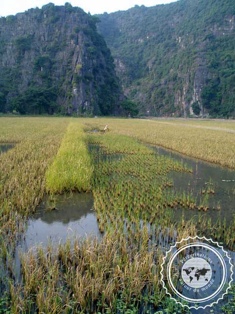 Vietman, Hoa Lu, La Baie d'Halong Terrestre