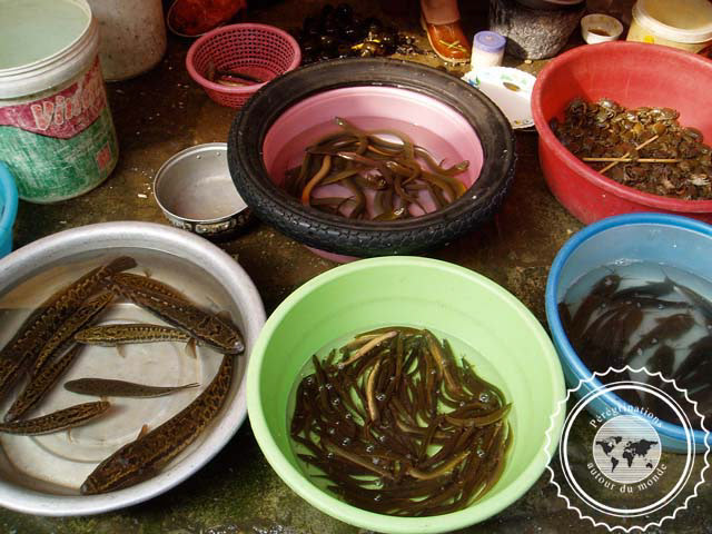 Marché de Cho Dong Xuan, Hanoi, Vietnam
