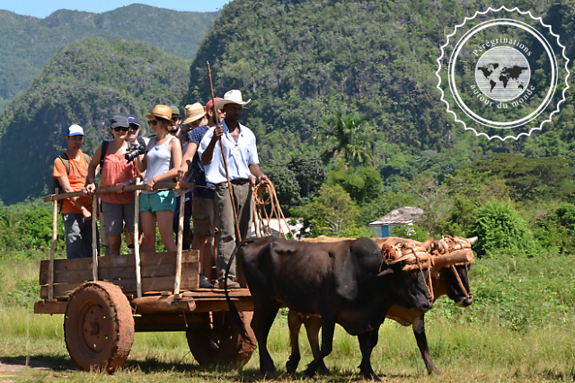 Randonnée dans la vallée de Vinales, Cuba