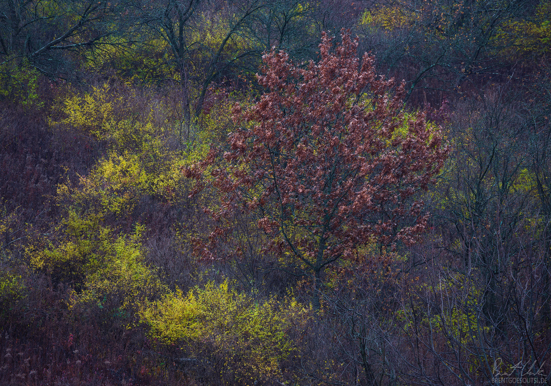 Conditions for Color
